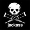 sir jackass