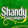 Shandy