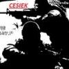 Cesiek