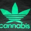 Cannabiss