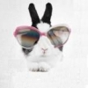 BunnY_xD